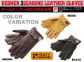 【送料無料・デグナーWEB正規代理店】デグナー(DEGNER)★ウィンターグローブ/WINTER GLOVE [WG-12]